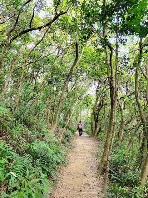 福人山|桃園楊梅福人步道｜愛心登山手杖免費借！輕量級步道呼吸森林滿 